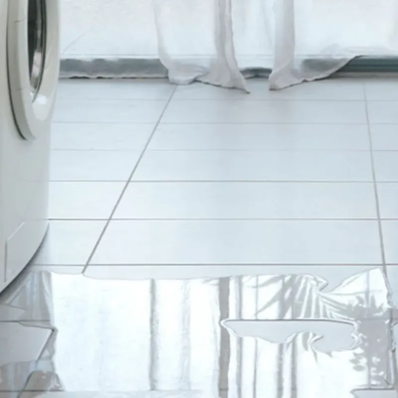Appliance Leak Cleanup in Ladysmith, WI