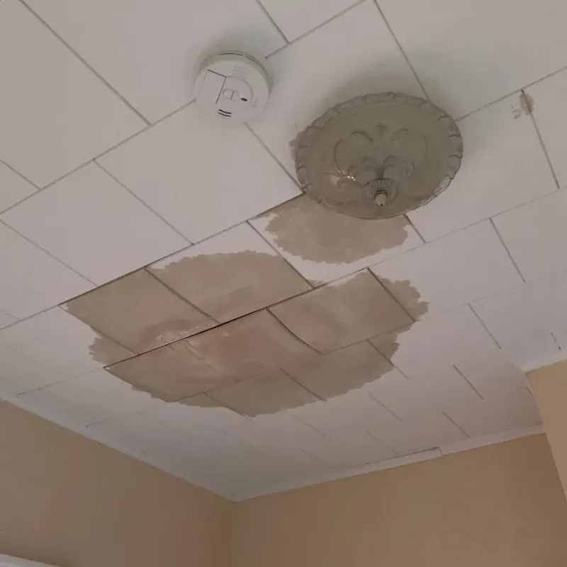 Ceiling Water Damage Repair in Ladysmith, WI