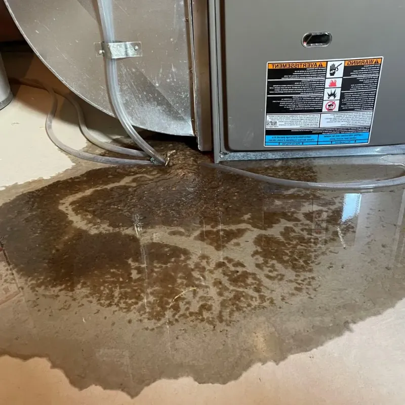 Pipe Burst and Leak Restoration in Ladysmith, WI