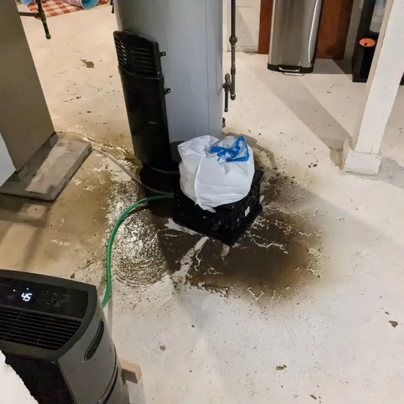 Sewage Backup Cleanup Service in Ladysmith, WI